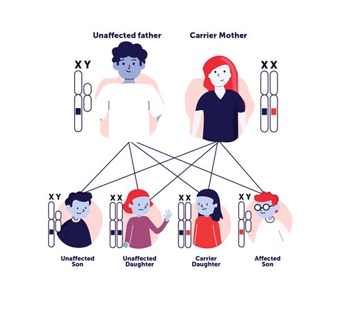 Identifying a Genetic Disease | ASGCT - American Society of Gene & Cell  Therapy |