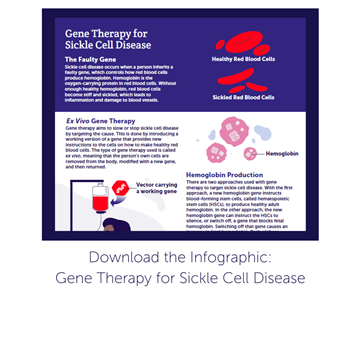 Gene therapy for sickle cell disease passes key preclinical test — Harvard  Gazette