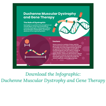 duchenne muscular dystrophy treatment