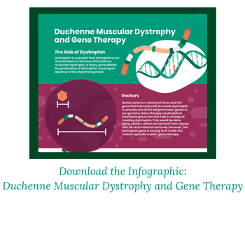 duchenne muscular dystrophy gene