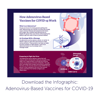 CDC on X: A viral vector vaccine uses a harmless version of a different  virus to deliver information to your body that helps it protect you. The  vaccine does not contain the